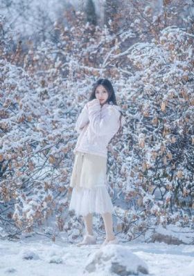 《乐游原》电视剧_1080P高清在线观看